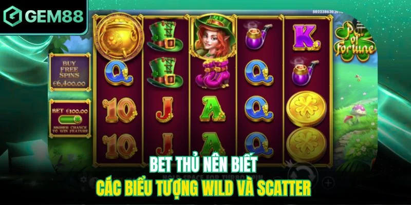 Bet thủ nên biết các biểu tượng Wild và Scatter 